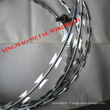 Hot-DIP Galvanized Razor Barbed Wire / Razor Blade Wiremesh (XM-R1)